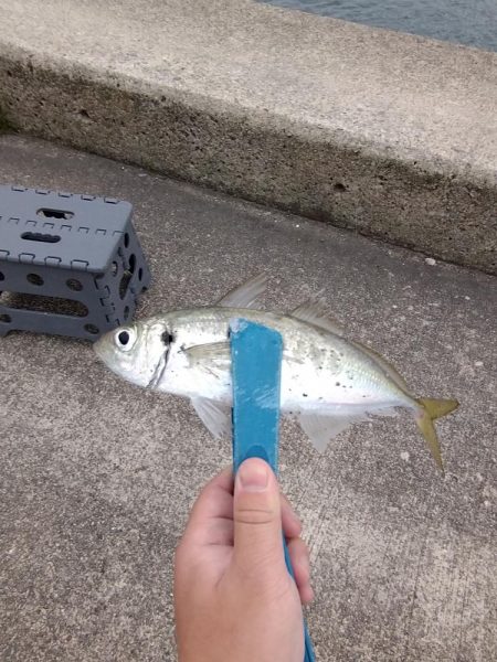 先週のリベンジ